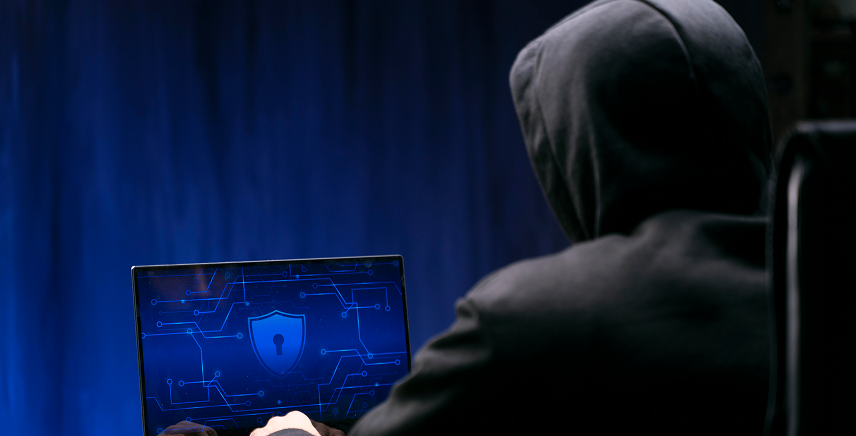 Consumer goods - fraud prevention in EMI schemes